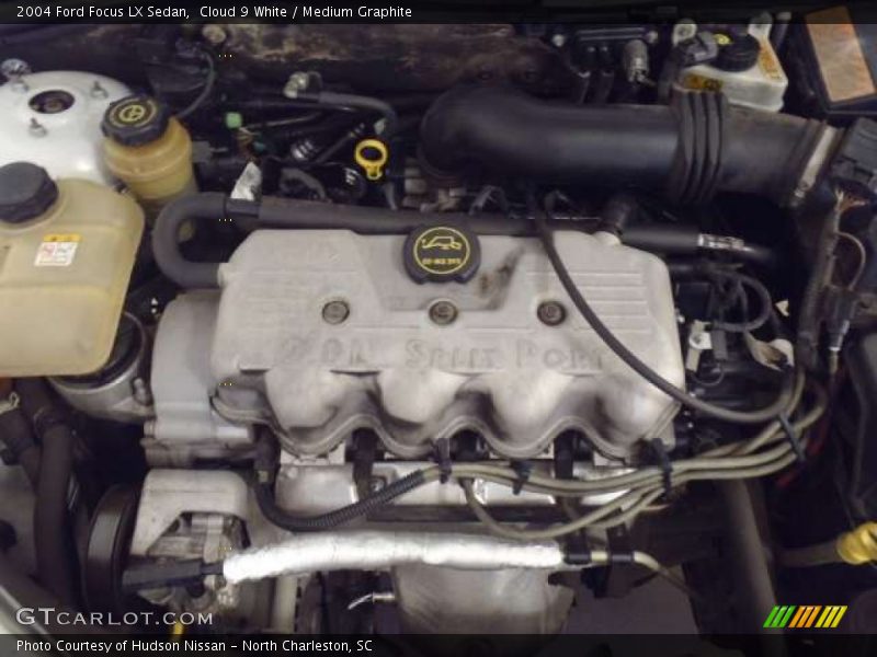 Cloud 9 White / Medium Graphite 2004 Ford Focus LX Sedan