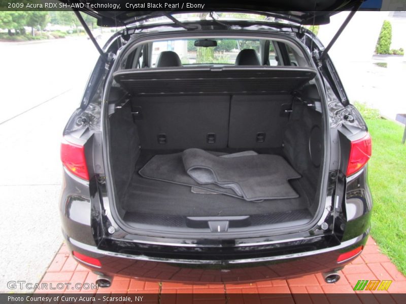 Crystal Black Pearl / Ebony 2009 Acura RDX SH-AWD Technology