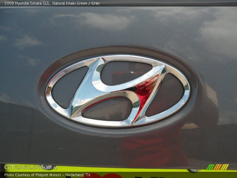 Natural Khaki Green / Gray 2009 Hyundai Sonata GLS
