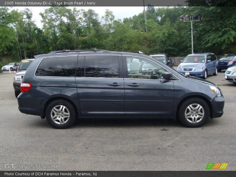 Sage Brush Pearl / Ivory 2005 Honda Odyssey EX-L