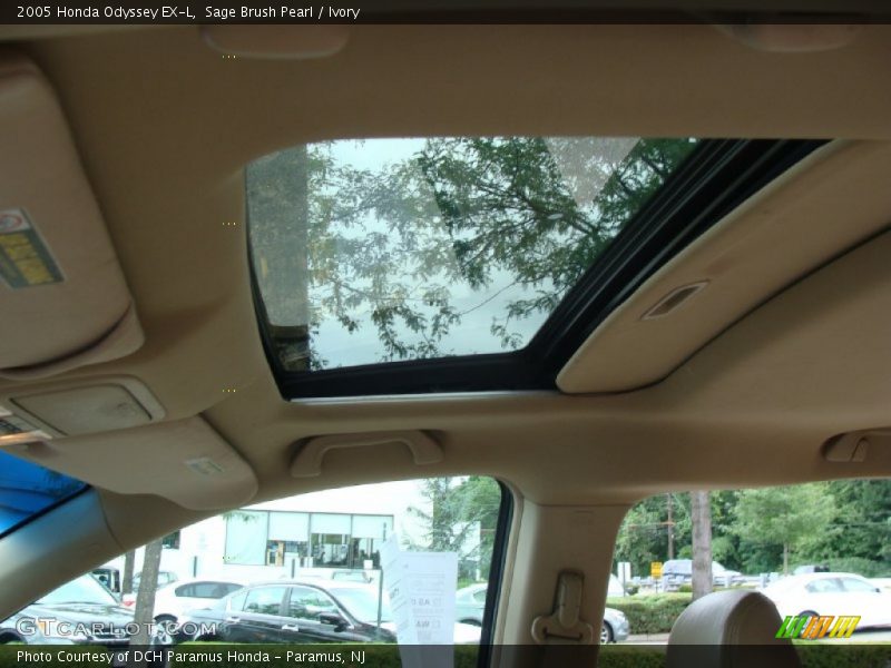 Sage Brush Pearl / Ivory 2005 Honda Odyssey EX-L