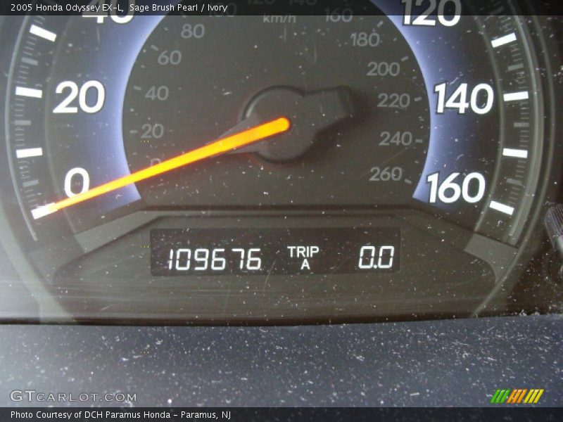 Sage Brush Pearl / Ivory 2005 Honda Odyssey EX-L