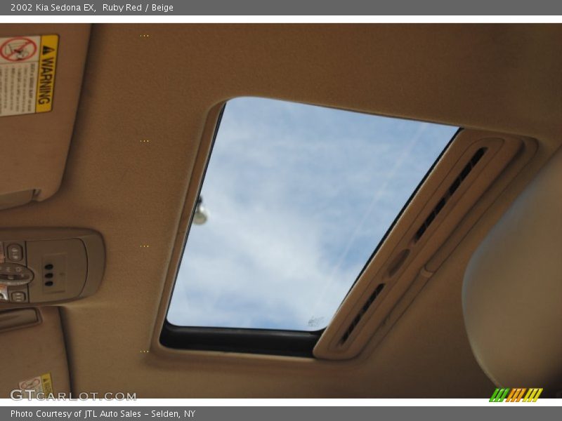 Ruby Red / Beige 2002 Kia Sedona EX