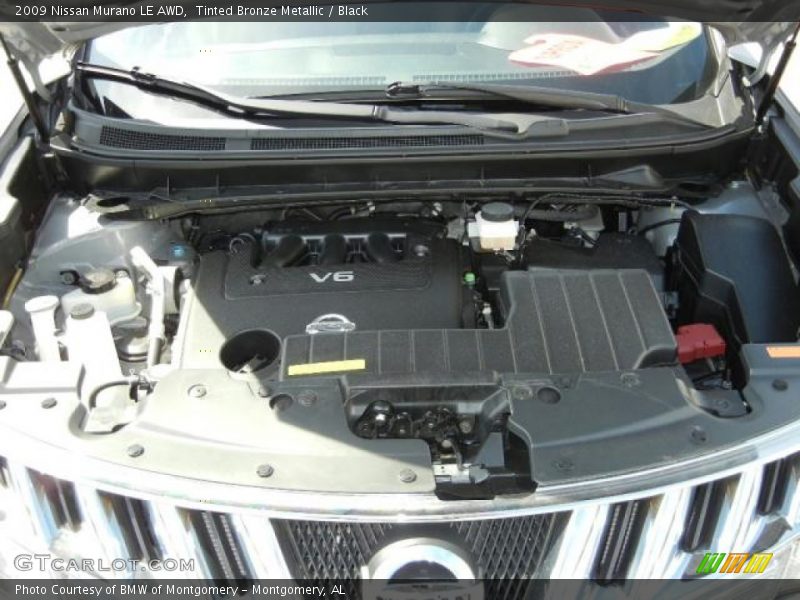 Tinted Bronze Metallic / Black 2009 Nissan Murano LE AWD
