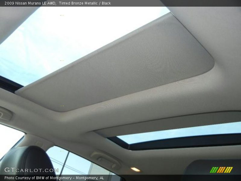 Tinted Bronze Metallic / Black 2009 Nissan Murano LE AWD