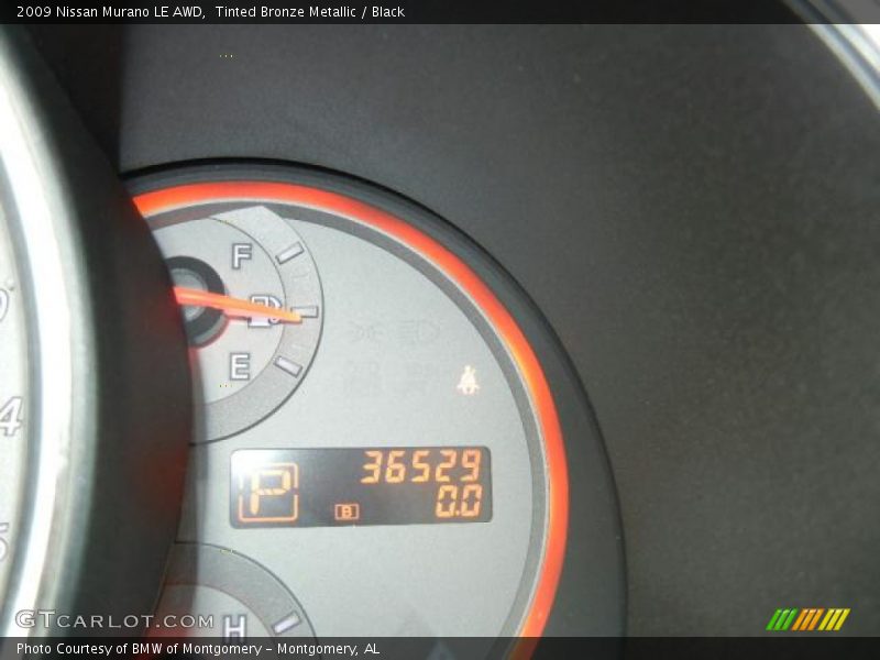 Tinted Bronze Metallic / Black 2009 Nissan Murano LE AWD