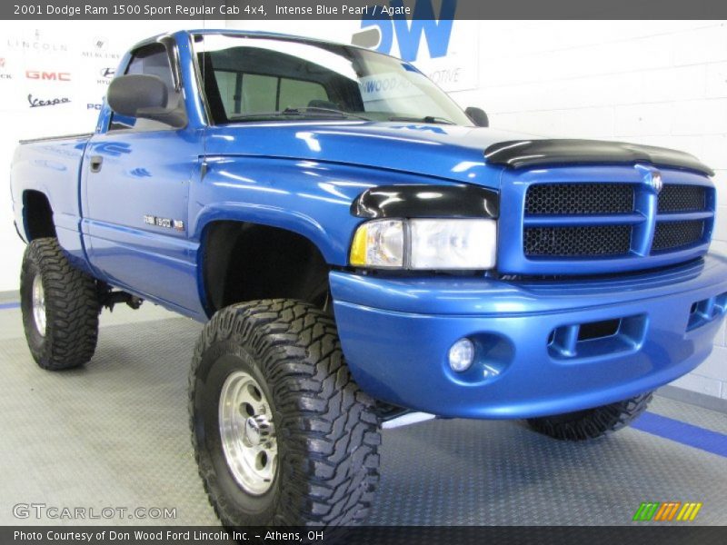 Intense Blue Pearl / Agate 2001 Dodge Ram 1500 Sport Regular Cab 4x4