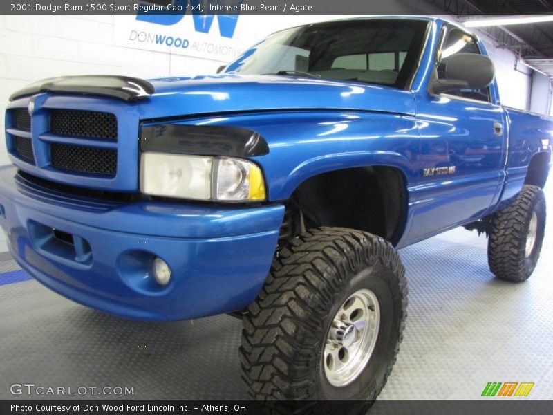Intense Blue Pearl / Agate 2001 Dodge Ram 1500 Sport Regular Cab 4x4