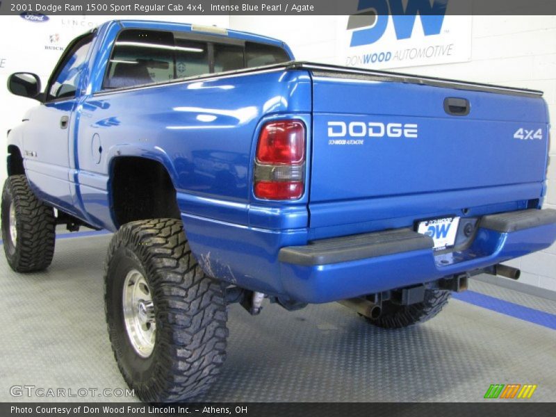 Intense Blue Pearl / Agate 2001 Dodge Ram 1500 Sport Regular Cab 4x4