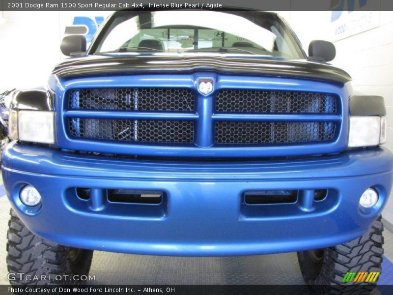 Intense Blue Pearl / Agate 2001 Dodge Ram 1500 Sport Regular Cab 4x4