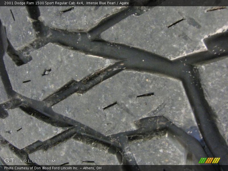 Intense Blue Pearl / Agate 2001 Dodge Ram 1500 Sport Regular Cab 4x4