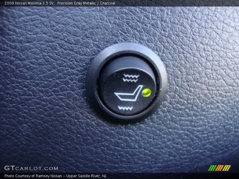 Precision Gray Metallic / Charcoal 2009 Nissan Maxima 3.5 SV