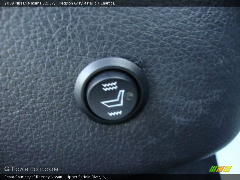 Precision Gray Metallic / Charcoal 2009 Nissan Maxima 3.5 SV