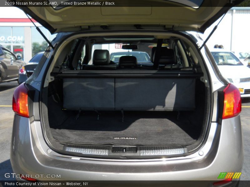 Tinted Bronze Metallic / Black 2009 Nissan Murano SL AWD