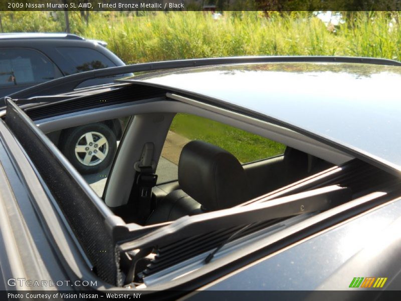Tinted Bronze Metallic / Black 2009 Nissan Murano SL AWD