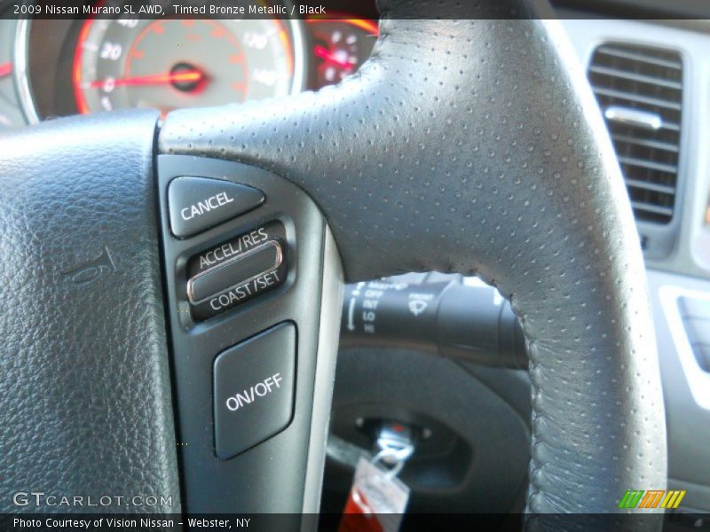Tinted Bronze Metallic / Black 2009 Nissan Murano SL AWD