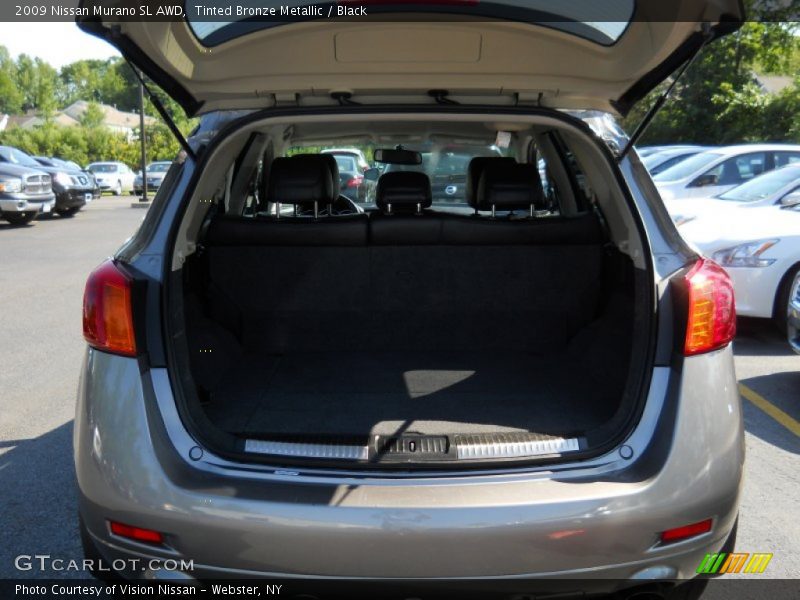 Tinted Bronze Metallic / Black 2009 Nissan Murano SL AWD