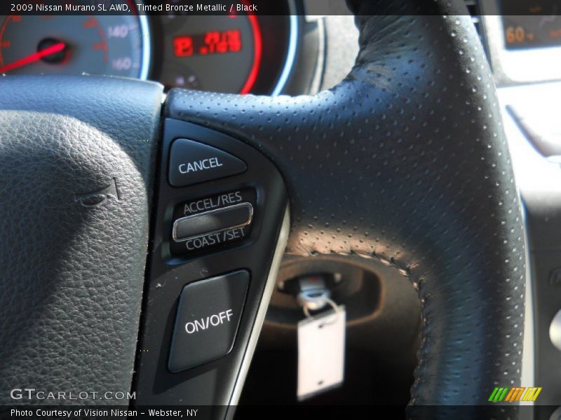 Tinted Bronze Metallic / Black 2009 Nissan Murano SL AWD