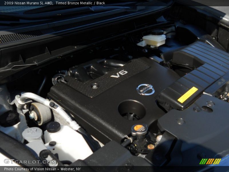 Tinted Bronze Metallic / Black 2009 Nissan Murano SL AWD