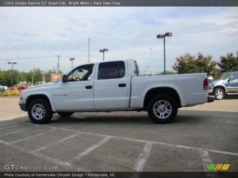 Bright White / Dark Slate Gray 2002 Dodge Dakota SLT Quad Cab