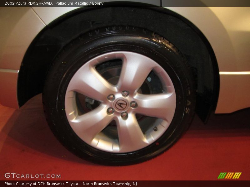 Palladium Metallic / Ebony 2009 Acura RDX SH-AWD