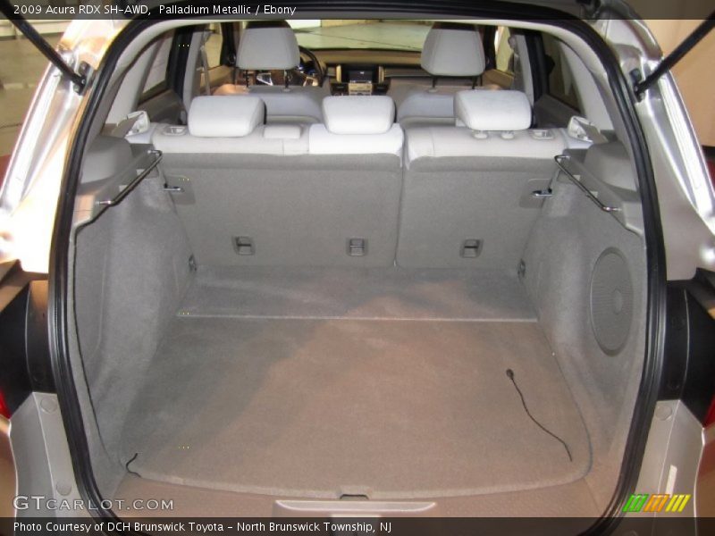Palladium Metallic / Ebony 2009 Acura RDX SH-AWD