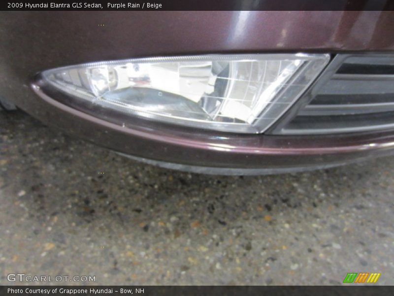 Purple Rain / Beige 2009 Hyundai Elantra GLS Sedan