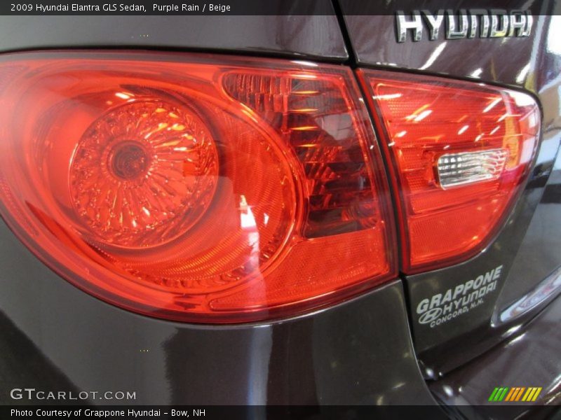 Purple Rain / Beige 2009 Hyundai Elantra GLS Sedan