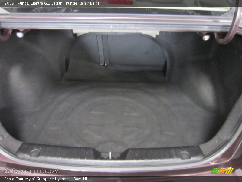 Purple Rain / Beige 2009 Hyundai Elantra GLS Sedan