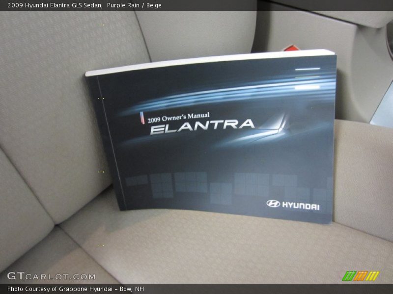 Purple Rain / Beige 2009 Hyundai Elantra GLS Sedan