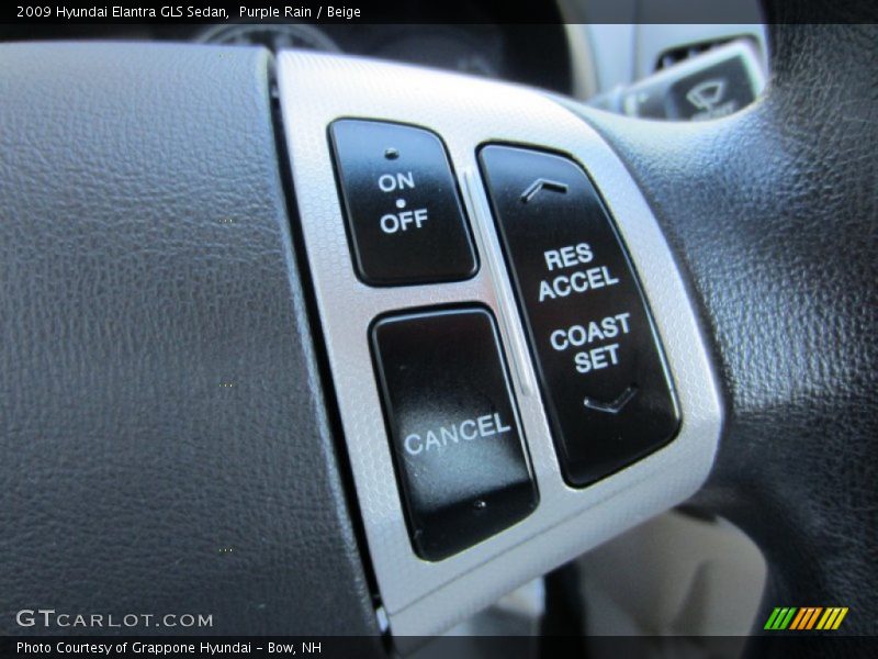 Purple Rain / Beige 2009 Hyundai Elantra GLS Sedan