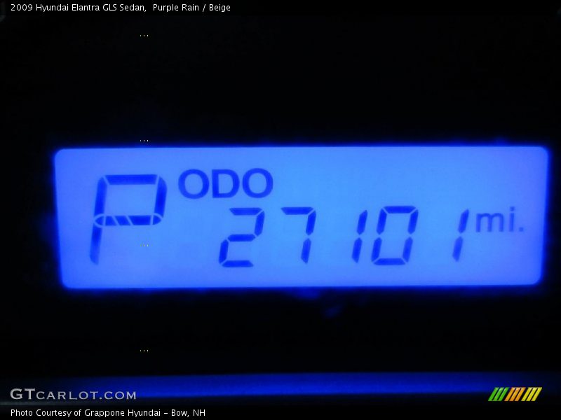 Purple Rain / Beige 2009 Hyundai Elantra GLS Sedan