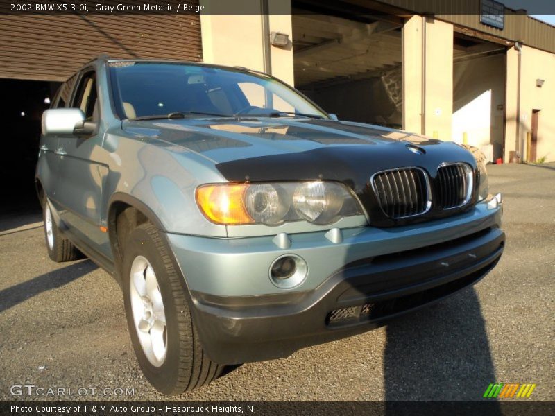 Gray Green Metallic / Beige 2002 BMW X5 3.0i