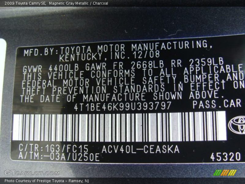 Magnetic Gray Metallic / Charcoal 2009 Toyota Camry SE