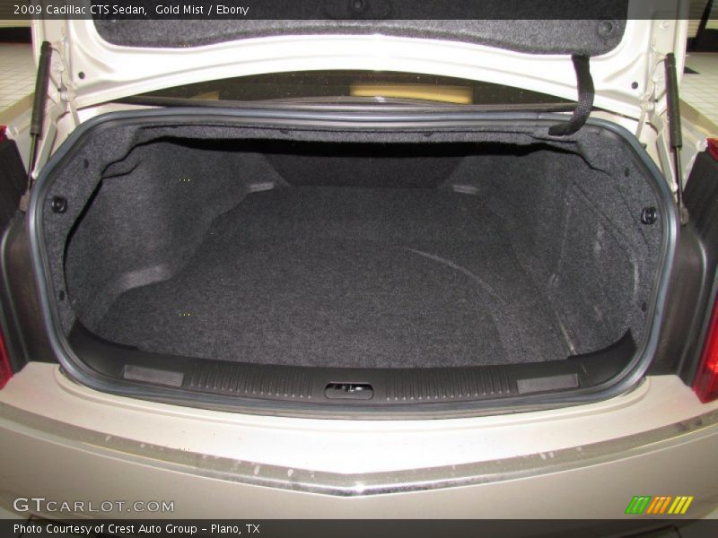 Gold Mist / Ebony 2009 Cadillac CTS Sedan