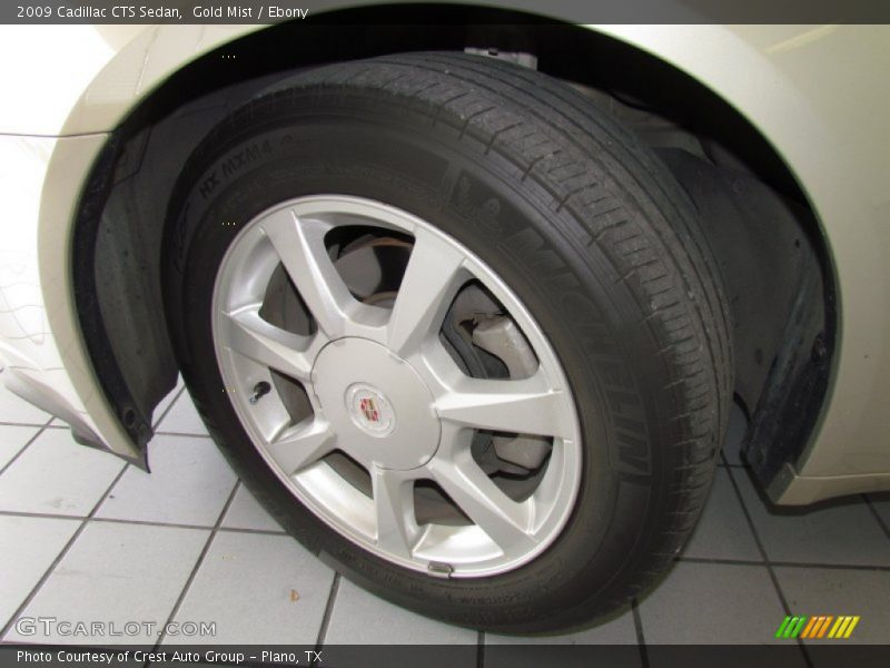 Gold Mist / Ebony 2009 Cadillac CTS Sedan