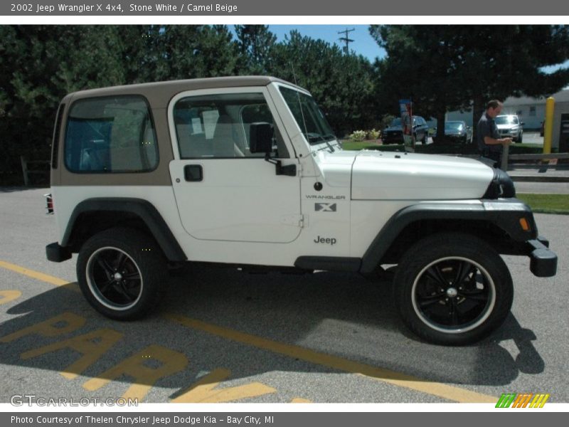 Stone White / Camel Beige 2002 Jeep Wrangler X 4x4