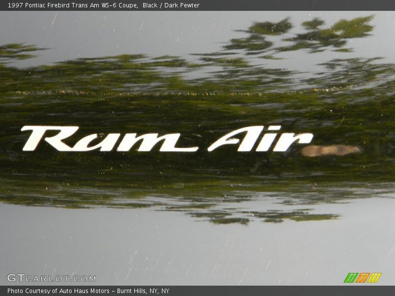 Black / Dark Pewter 1997 Pontiac Firebird Trans Am WS-6 Coupe