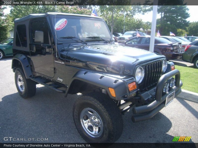 Black / Camel Beige 2002 Jeep Wrangler X 4x4