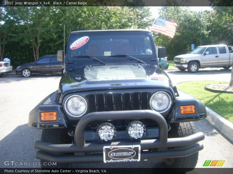 Black / Camel Beige 2002 Jeep Wrangler X 4x4