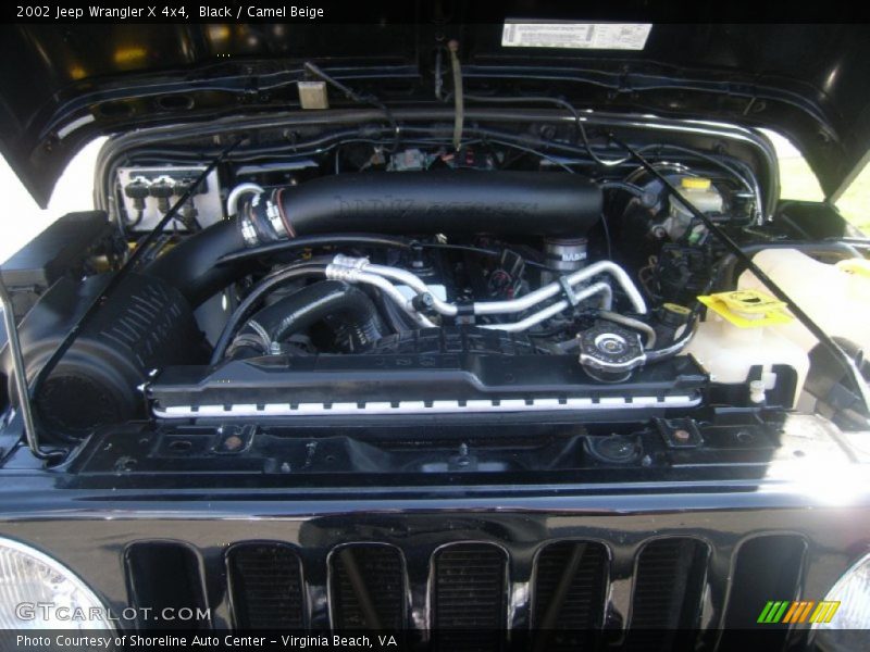 Black / Camel Beige 2002 Jeep Wrangler X 4x4