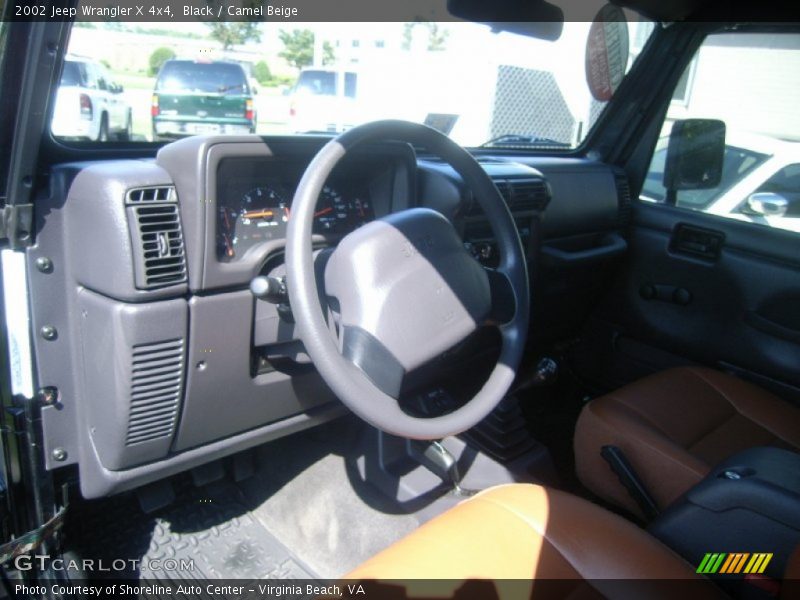 Black / Camel Beige 2002 Jeep Wrangler X 4x4