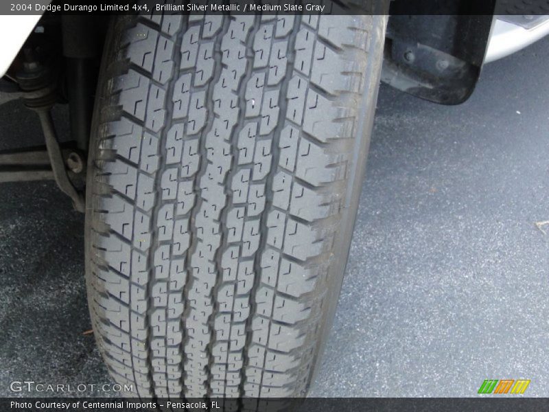 Brilliant Silver Metallic / Medium Slate Gray 2004 Dodge Durango Limited 4x4