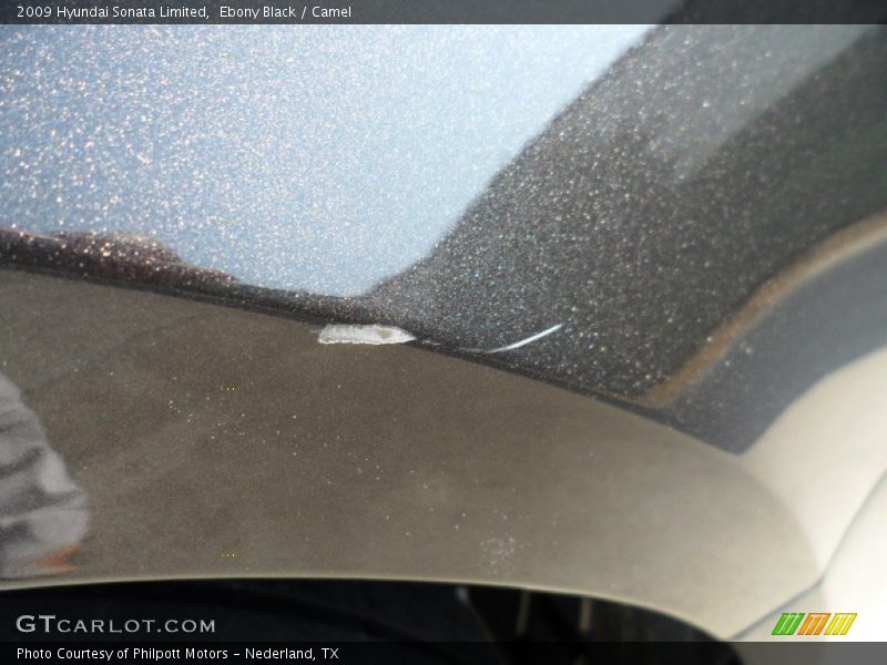 Ebony Black / Camel 2009 Hyundai Sonata Limited