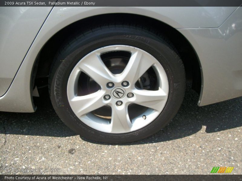 Palladium Metallic / Ebony 2009 Acura TSX Sedan