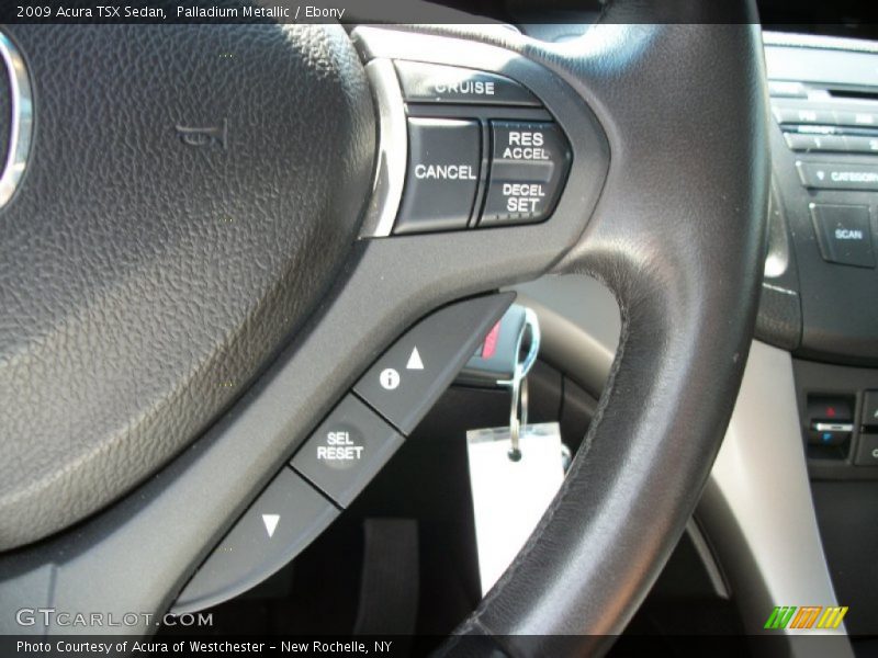 Palladium Metallic / Ebony 2009 Acura TSX Sedan