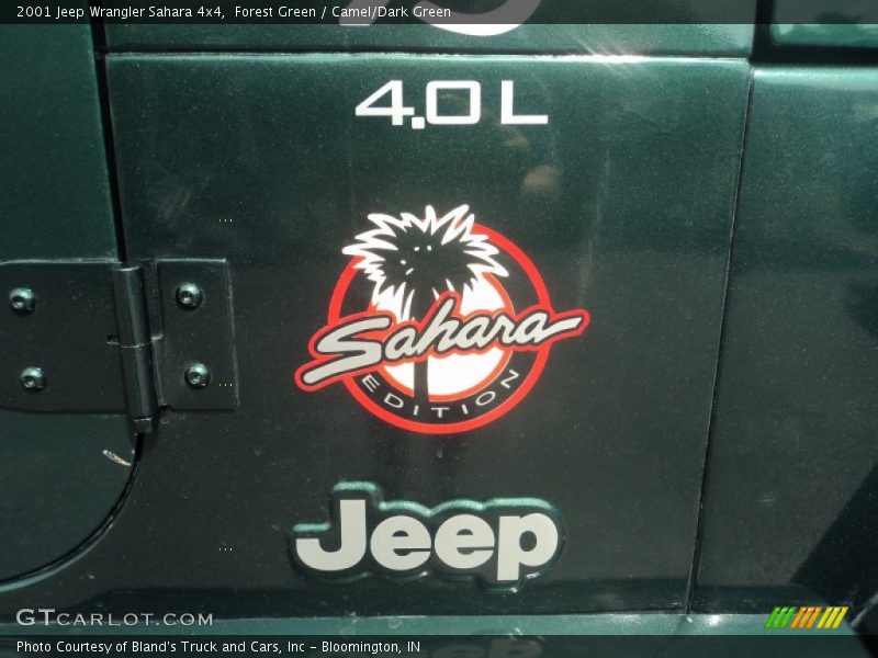 Forest Green / Camel/Dark Green 2001 Jeep Wrangler Sahara 4x4