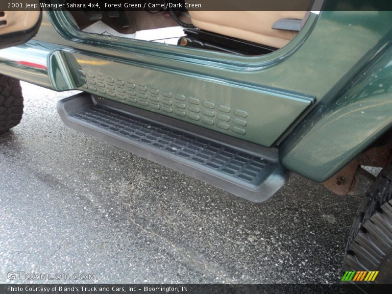 Forest Green / Camel/Dark Green 2001 Jeep Wrangler Sahara 4x4