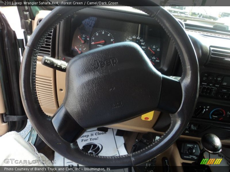 Forest Green / Camel/Dark Green 2001 Jeep Wrangler Sahara 4x4