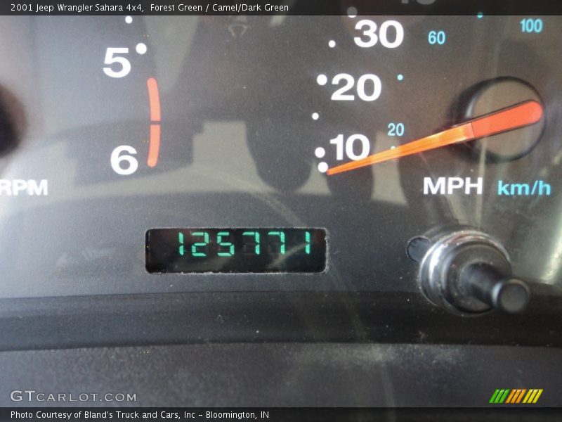 Forest Green / Camel/Dark Green 2001 Jeep Wrangler Sahara 4x4